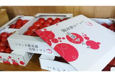 【G0047】完熟いとしろトマト麗夏　4kg入り×2箱［期間限定］受付9月26日まで 食品  野菜 きのこ  トマト 20000円