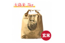 【G0035】「玄米」大島米5㎏　令和６年産 食品  米 雑穀  玄米 10000円