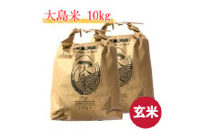 【G0048】「玄米」大島米10㎏　令和６年産 食品  米 雑穀  玄米 20000円
