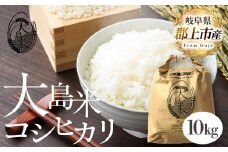 「精米」大島米10㎏　令和7年産 食品  米 雑穀  白米 20000円 G0080b