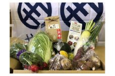 【R-9】[定期便]郡上の旬野菜とお米（年３回） 食品  野菜 きのこ  セット 詰め合わせ 25000円