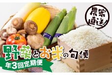 【R-9】[定期便]郡上の旬野菜とお米（年３回） 食品  野菜 きのこ  セット 詰め合わせ 25000円