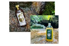 【A-173】郡上産クラフトドリンクシロップ『パチコーラ』『山のシロップ』セット