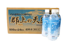 【A-184】清流長良川源流「郡上の天然水」500ml(24本入)1箱 水 ソフトドリンク  水 炭酸水 15000円