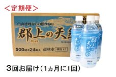 【R-10】（定期便）清流長良川源流「郡上の天然水」500ml(24本入)1箱×3回お届け