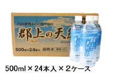 【C-55】清流長良川源流「郡上の天然水」500ml(24本入)2箱