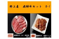 【B-88】郡上産飛騨牛セットB-１［A5等級］味付肉200g×2P・(上)焼肉240ｇ