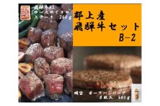 【B-89】郡上産飛騨牛セットB-2［A5等級］ロースサイコロステーキ260gと明宝ポークハンバーグ8枚
