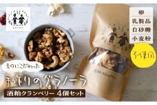 ＼卵・乳製品・小麦・白砂糖不使用／ 酒粕クランベリーグラノーラ120g×3個セット食品 パン ジャム シリアル シリアル グラノーラ 個包装 グルテンフリー ヨーグルト ミルク 牛乳 アイス 10000円 1万円 [G0006]