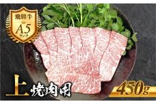 ［A5等級］飛騨牛 上カルビ 焼き肉用 450g 2～3人前 霜降り 精肉 肉 牛肉 黒毛和牛 和牛 BBQ 飛騨牛 カルビ お肉 肉 焼肉 焼き肉 冷凍 明宝ハム 明宝物産物加工 20000円 2万円 [G0025]