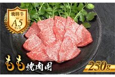 ［A5等級］飛騨牛 もも 焼き肉用 250g 赤身 モモ 焼き肉 ヘルシー 肉 牛肉 精肉 黒毛和牛 和牛 BBQ 飛騨牛 お肉 肉 焼肉 冷凍 明宝ハム 明宝物産物加工 10000円 1万円 [G0026]