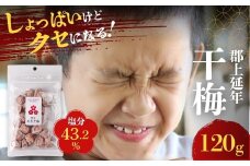 郡上延年干梅 120g / プラムナチュール 暑さ 対策 食品 漬物 梅干し 梅干し しそ梅 5000円 G0071