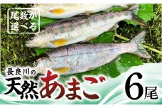 【ふるさと納税】尾数が選べる 郡上産 長良川の天然あまご 6尾 / 食品 魚介類 水産加工品 その他水産物 アマゴ 10000円 G0079c