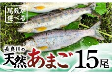 【ふるさと納税】尾数が選べる 郡上産 長良川の天然あまご 15尾 / 食品 魚介類 水産加工品 その他水産物 アマゴ 20000円 G0079d