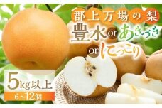 郡上大和の梨  先行予約 令和8年産 【9月中旬～12月上旬発送】豊水 あきづき にっこり 品種お任せ/ 食品 フルーツ 果物 和梨 梨 なし ナシ 15000円 G0086