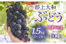 郡上大和のぶどう 令和7年産 【9月上旬～10月下旬発送】ブドウ ぶどう ピオーネ 巨峰 品種お任せ/ 食品 フルーツ 果物 ぶどう 葡萄 ブドウ