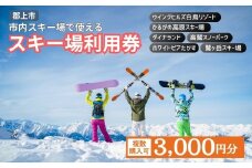 岐阜県郡上市 市内スキー場利用券 3000円分 2025-2026 高鷲・白鳥エリア利用可 ダイナランド・高鷲・鷲ヶ岳・白鳥・ひるがの・ホワイトピア 対応 チケット あとから選べる リフト券 シーズン券 スポーツ その他 10000円