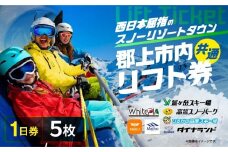 郡上市内スキー場リフト1日券(5枚) カタログギフト チケット  その他 100000円 G0134c