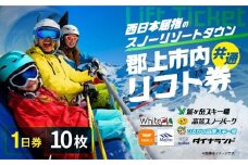 郡上市内スキー場リフト1日券(5枚) カタログギフト チケット  その他 200000円 G0134d
