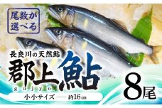 【尾数が選べる】郡上鮎 長良川の天然鮎 小小サイズ(約16ｃｍ) 8尾 / 食品 魚介類 水産加工品 その他水産物 鮎 アユ 10000円 G0074b