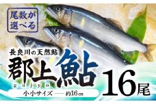 【尾数が選べる】郡上鮎 長良川の天然鮎 小小サイズ(約16ｃｍ) 16尾 / 食品 魚介類 水産加工品 その他水産物 鮎 アユ 20000円 G0074d