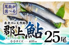 【尾数が選べる】郡上鮎 長良川の天然鮎 小小サイズ(約16ｃｍ) 25尾 / 食品 魚介類 水産加工品 その他水産物 鮎 アユ 30000円 G0074e