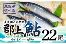 【尾数が選べる】郡上鮎 長良川の天然鮎 小サイズ(約18ｃｍ) 22尾/ 食品 魚介類 水産加工品 その他水産物 鮎 アユ 30000円 G0075e