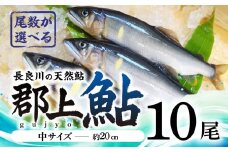 【尾数が選べる】郡上鮎 長良川の天然鮎 中サイズ(約20ｃｍ) 10尾 / 食品 魚介類 水産加工品 その他水産物 鮎 アユ 20000円 G0076c