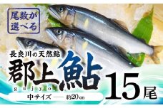 【尾数が選べる】郡上鮎 長良川の天然鮎 中サイズ(約20ｃｍ) 15尾 / 食品 魚介類 水産加工品 その他水産物 鮎 アユ 30000円 G0076d