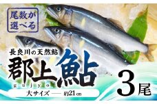 【尾数が選べる】郡上鮎 長良川の天然鮎 大サイズ(約21ｃｍ) 3尾 / 食品 魚介類 水産加工品 その他水産物 鮎 アユ 10000円 G0077a
