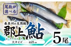 【尾数が選べる】郡上鮎 長良川の天然鮎 大サイズ(約21ｃｍ) 5尾 / 食品 魚介類 水産加工品 その他水産物 鮎 アユ 15000円 G0077b