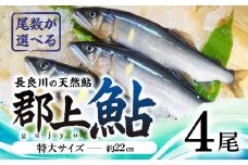 【尾数が選べる】郡上鮎 長良川の天然鮎 特大サイズ(約22ｃｍ) 4尾 / 食品 魚介類 水産加工品 その他水産物 鮎 アユ 15000円 G0078b