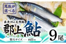 【尾数が選べる】郡上鮎 長良川の天然鮎 特大サイズ(約22ｃｍ) 9尾 / 食品 魚介類 水産加工品 その他水産物 鮎 アユ 30000円 G0078d