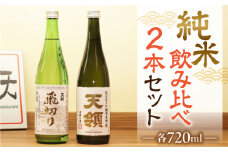 【天領酒造】「純米 飲みくらべ」Bセット( 特別純米酒 (720ml×1本) 純米大吟醸 (720ml×1本)　お酒 下呂温泉 酒 飲み比べ 天領 下呂市
