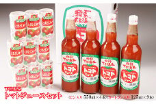 下呂温泉トマトジュースセット(ビン入り 550ml×4本)(カートカン入り 125ml×9本) とまと トマト 野菜飲料 野菜ジュース 下呂市