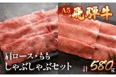 飛騨牛肩ロース・ももしゃぶしゃぶセット　各290g  【冷凍】ブランド牛 牛肉 国産 下呂温泉 天狗 しゃぶしゃぶ 飛騨 牛