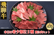 飛騨牛本日の希少部位2種焼肉セット 各420g  【冷凍】ブランド牛 国産 牛肉  焼き肉 焼肉 飛騨牛 高級 牛 天狗 食べ比べ