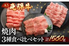 飛騨牛本日の霜降り・赤身・ミックスカルビ焼肉セット  各520g  【冷凍】ブランド牛 牛肉 国産 下呂温泉 牛 焼き肉 飛騨牛