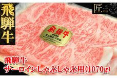 飛騨牛サーロインしゃぶしゃぶ  1070g（7～8人分）【冷凍】ブランド牛 牛肉 国産 下呂温泉 牛 しゃぶしゃぶ 飛騨牛 牛