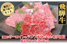 飛騨牛サーロイン・ランプ赤身・本日の希少部位焼肉セット 各490g  【冷凍】ブランド牛 牛肉 国産 下呂温泉 牛 飛騨牛 食べ比べ 高級 焼き肉