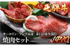 飛騨牛サーロイン・ランプ赤身・本日の希少部位焼肉セット 各490g  【冷凍】ブランド牛 牛肉 国産 下呂温泉 牛 飛騨牛 食べ比べ 高級 焼き肉 ヤキニク やきにく ひだぎゅう