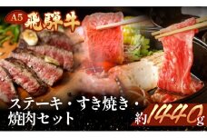 飛騨牛を味わいつくす!!ステーキ・すき焼き・焼肉セット(サーロイン約200g(1枚)/イチボ約240g(2枚)/リブロース500g/本日の希少部位500g）【冷凍】すきやき 焼き肉 ブランド牛 おすすめ 食べ比べ A5