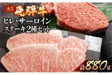 飛騨牛ヒレ・サーロインステーキセット【ヒレ 約500g (3～4枚) / サーロイン約380g (2枚)】【冷凍】ブランド牛 牛肉 国産 下呂温泉 牛 ステーキ 飛騨牛 高級 ヒレ