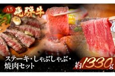 飛騨牛を味わいつくす!!ステーキ・しゃぶしゃぶ・焼肉セット【ヒレ約230g(2枚)/サーロイン約180g(1枚)/リブロース460g/本日の希少部位460g】【冷凍】食べ比べ 飛騨牛 牛 天狗 高級 おすすめ 