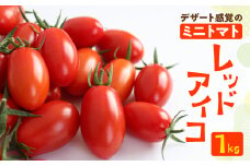 ≪期間限定≫（2025年7月中旬頃から順次発送） 産地直送！飛騨下呂のレッドアイコ 1kg ミニトマト 夏季限定 限定 飛騨 下呂 あいこ とまと トマト アイコ  アイコトマト 新鮮 国産 野菜 下呂