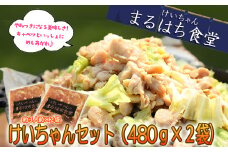  鶏ちゃん発祥の名店「まるはち食堂」こだわり抜かれた下呂の味！！けいちゃん 480g×2（約6人前）冷凍  ケイちゃん 郷土料理 まるはち 下呂市 鶏肉 味付け 味付き 焼くだけ 簡単調理 下呂温泉 けーちゃん おすすめ まるはち 下呂市 まるはち食堂
