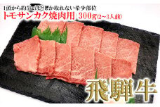 菊の井 飛騨牛トモサンカク焼肉  300g（2～3人前）牛肉 ブランド牛 国産 牛 ともさんかく 高級 やきにく 焼き肉【冷凍】
