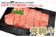 菊の井 飛騨牛トモサンカク焼肉  500g（4～5人前）牛肉 ブランド牛 国産 焼き肉 牛 飛騨 ともさんかく【冷凍】