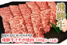 菊の井 飛騨牛イチボ焼肉  500g（4～5人前）牛肉 ブランド牛 国産 焼き肉 やきにく【冷凍】