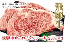 菊の井 飛騨牛サーロインステーキ  250g×3 牛肉 ブランド牛 国産 ギフト 贈答【冷凍】サーロイン 飛騨牛 下呂市 牛 牛肉